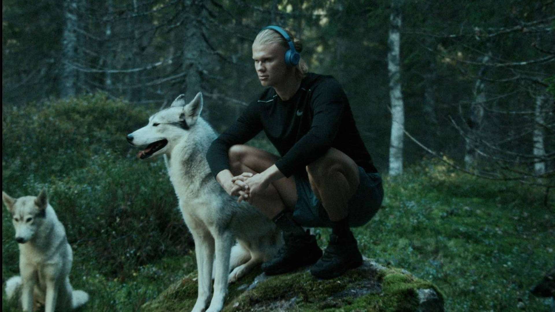 诚以及对职 诚以及对职